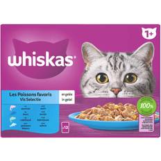 Whiskas Kat Huisdieren Whiskas 1+ Vis Selectie in Gelei 12 x 85 gr