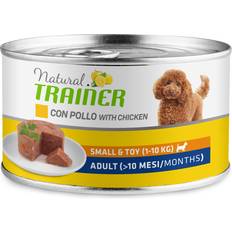 Trainer Small & Toy Vuxen 12