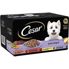 Cesar Juicy Hotpot Wet Dog Dogs 1+