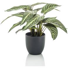 Emerald Calathea Zebrina Green Artificial Plant