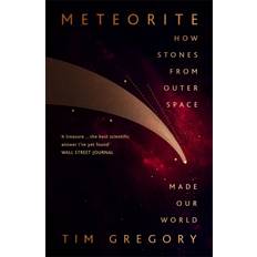 Meteorite: How Stones From Outer Space Made Our World