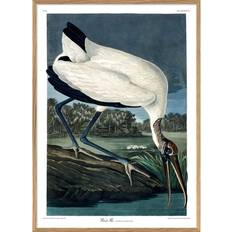 The Dybdahl Co The Dybdahl Co Wood Ibis #6516 Poster