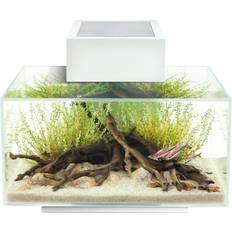 Fluval Edge 2.0 LED Aquarium Kit 23L