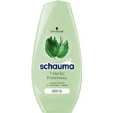 Schauma Schwarzkopf Herbs Freshness Conditioner 250ml 250ml