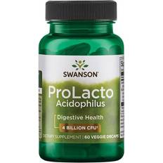 Ginger Gut Health Swanson prolacto acidophilus 4 milliarden cfu vege 60 Stk.