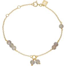 Carre Carré Armband 18 kt Guldpläterad Silver - Gold