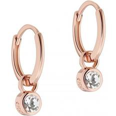 Rose Gold Plated Earrings Ted Baker Sinalaa Huggies Earrings