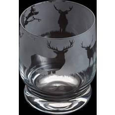 Dartington Gafas Dartington Crystal Aspect Tumbler