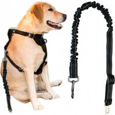 Basic Dog Leash Adjustable 100-130 cm
