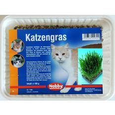 Nobby Kattgräs 100