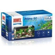 Primo 60 Aquarium