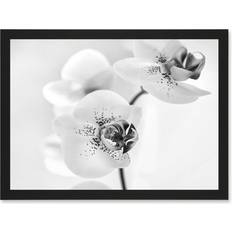 Black Framed Art ARTERY8 Orchid Flower Black White A4 Framed Art