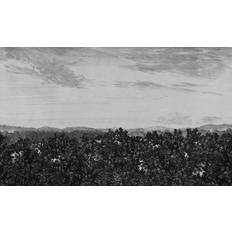 Sandberg Tapeter Sandberg Tapet Oak View Graphite