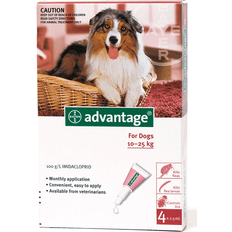 Advantage No. 250 Loppemiddel Til Hunde 10 - 25 kg 1 Pakke