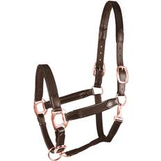 Waldhausen Horse Halter Star Mix - Marron