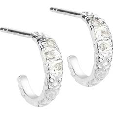 Smykker Aqua Dulce Hoops MESS HOOP CLEAR