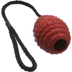 Rubber Oval Ball on a Rope Dog Toy Large