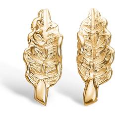 Blossom Copenhagen Leaf 9 Karat Guld Örhängen - 9912099