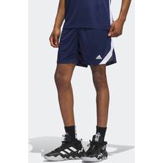 5XL Shorts adidas Short Icon Squad - Blu Navy