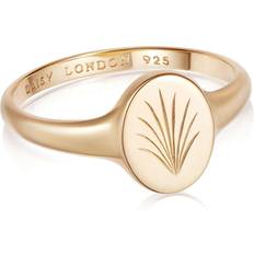 XS Rings Daisy Daisy London Palms Collection Signet Ring, Gold