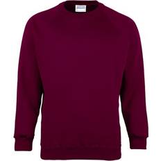 18-24M Sweatshirts Maddins Kids Big Boys Coloursure Crew Neck Sweatshirt Schoolwear