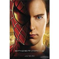 Spider-Man Spider-Man 2 Poster
