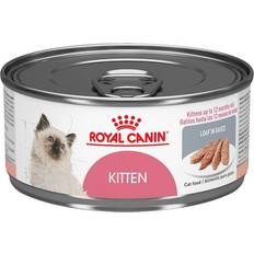 Royal Canin 5.1 Kitten Loaf Cat Food