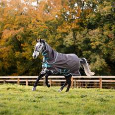 Turquoise Horse Rugs Amigo Bravo Plus Turnout Ex Gray/Aqua