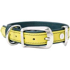 Husdjur MyFamily My Firenze Halsband Lime