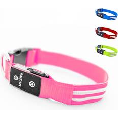 Tractive Animali domestici Tractive LED Light Up Dog Collar. USB Rechargeable.