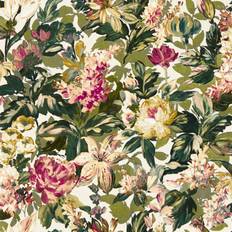 Wallpapers Clarke & Clarke Olive/Raspberry W0158/03