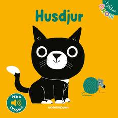Nyfikna öron Husdjur Peka Lyssna