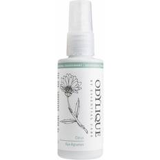 Citrus Natural Deodorant Spray
