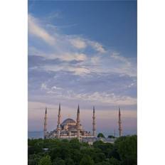 Blue Posters BrainBoosters Mosque Print Poster