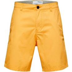 Gule Shorts Selected Homme Comfort Flex Shorts Gul