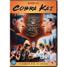 Cobra Kai Seasons 1-2