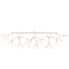 Heracleum III Linear