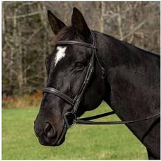 Cob Reins Henri de Rivel Henri de Rivel Mono Crown Bridle with Padded Wide Noseband