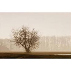 Photography Posters BrainBoosters Tree Silhouette in Fog Print Don Poster