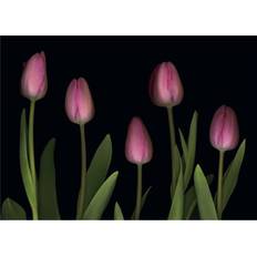 Pink Posters BrainBoosters Pink Tulips Print Poster