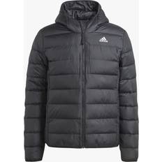 Adidas Chaquetas Adidas Essentials Light Down Hooded Jacket - Black Male