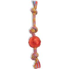 Pet 746772252406 11 Braidys Tug with Assorted TRP Ball Dog Small