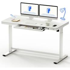 Flexispot FLEXISPOT Office Sit Stand Writing Desk