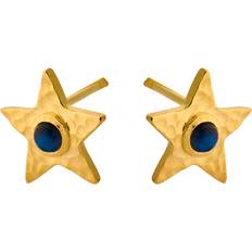 Pernille Corydon Twinkling Star Earsticks Förgyllt-Silver Sterling 925
