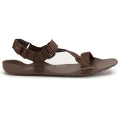 Slippers & Sandals Xero Shoes Men's Z-Trek II Brown