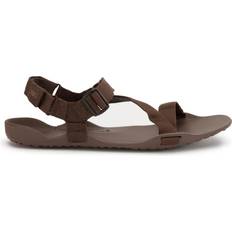 Xero Xero Shoes Z-Trek - Brown