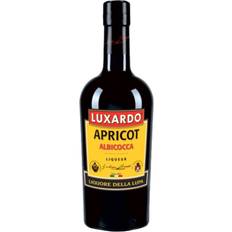 Luxardo Øl & Spiritus Luxardo Apricot 30% 70 cl