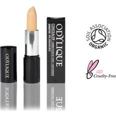 Mineral Concealer Medium