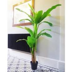 Interior Details Leaf 180Cm Banana Natural Tree Artificial Plant