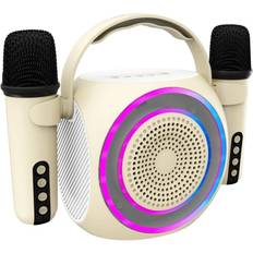 PARTYMIC2